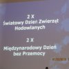 Międzynarodowy Dzień Bez Przemocy